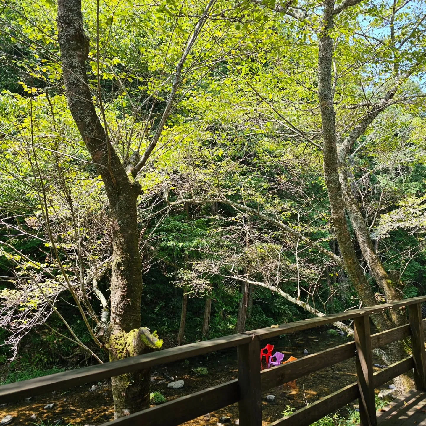 岐阜県日石ヴィレッジキャンプ場にて