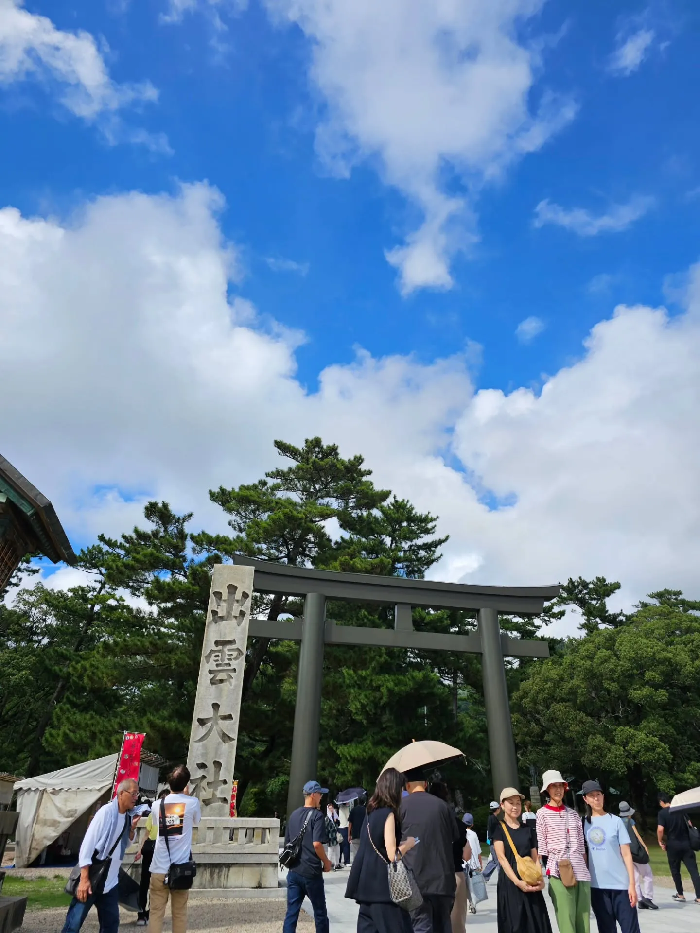 いつもありがとうございます。